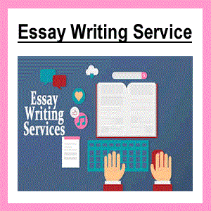 Use essay writing service